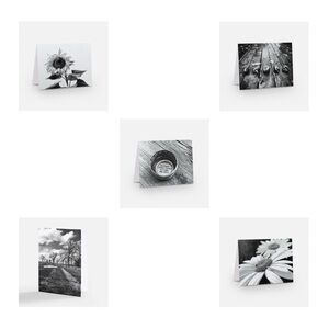 🪾set of five cards